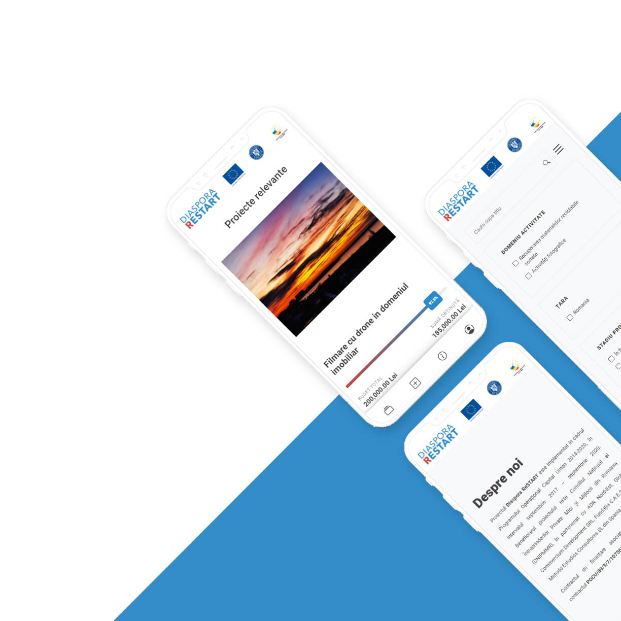 Platformă socială Diaspora Restart