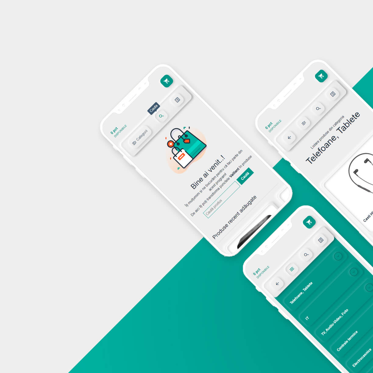 Prezență digitală Vaillant